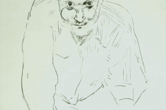 David Hockney